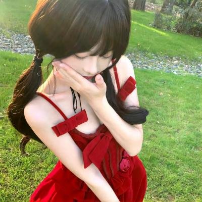 安妮·法兰克的最后七个月